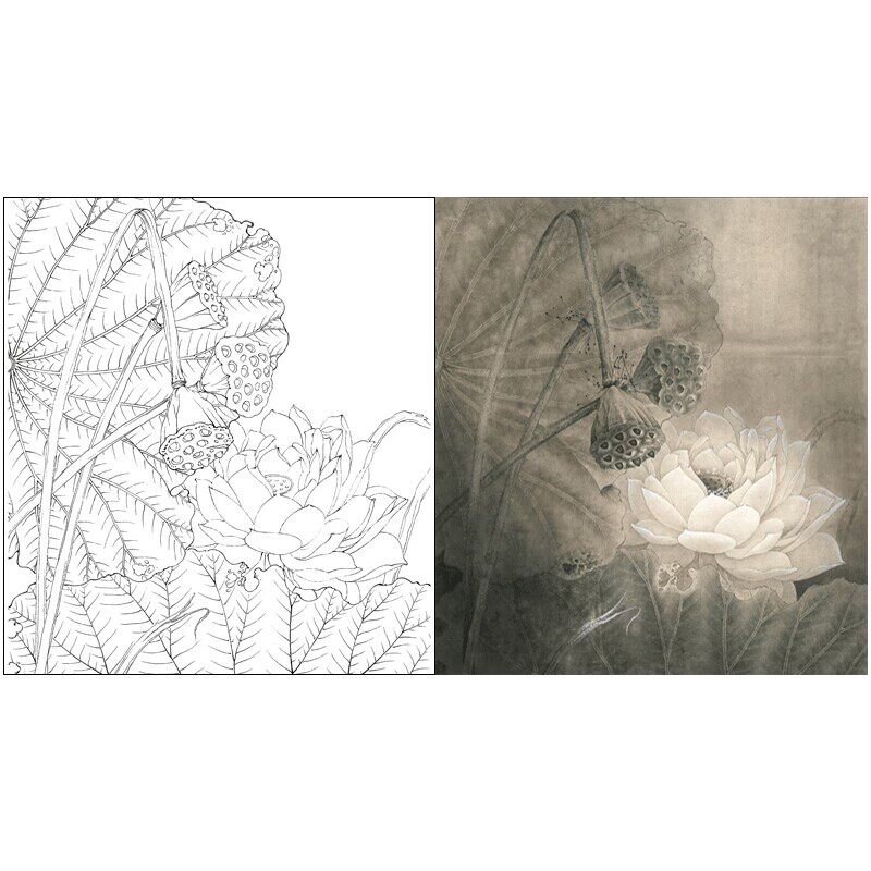 有步骤说明高清荷花莲藕底稿李晓明工笔画白描底稿《亘古图213l