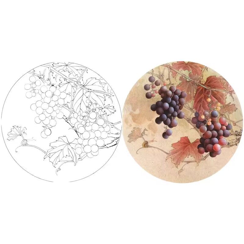 高清工笔国画名家圆形葡萄图初学者白描底稿线描实物打印稿712x