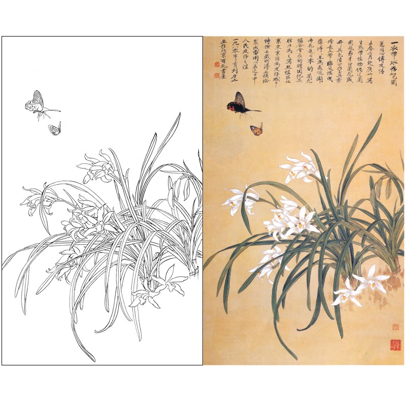 俞致贞工笔国画花鸟兰花白描底稿小品装饰临摹透稿实物打印稿352x