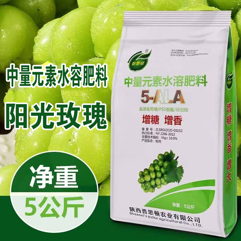 香普思顿阳光玫瑰增糖增香