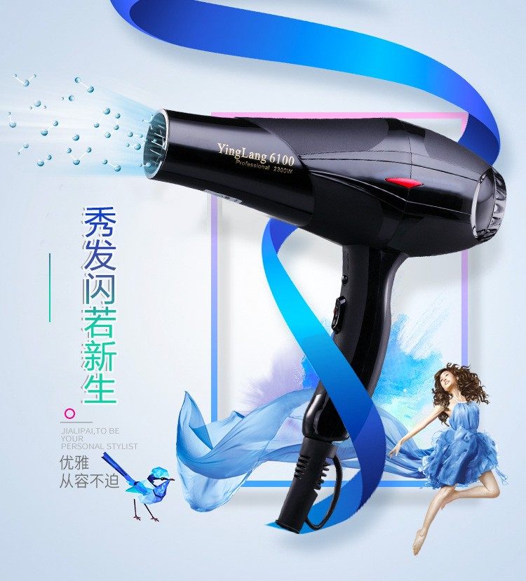 影浪6100大功率吹风机家用理发发廊风筒酒店电吹风美发师宠物师