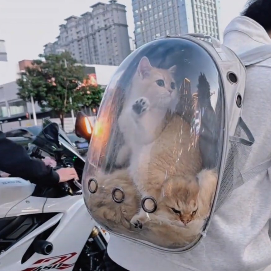 猫包宠物太空舱大容量猫咪小型犬外带胸前双肩透气宠物包猫咪背包