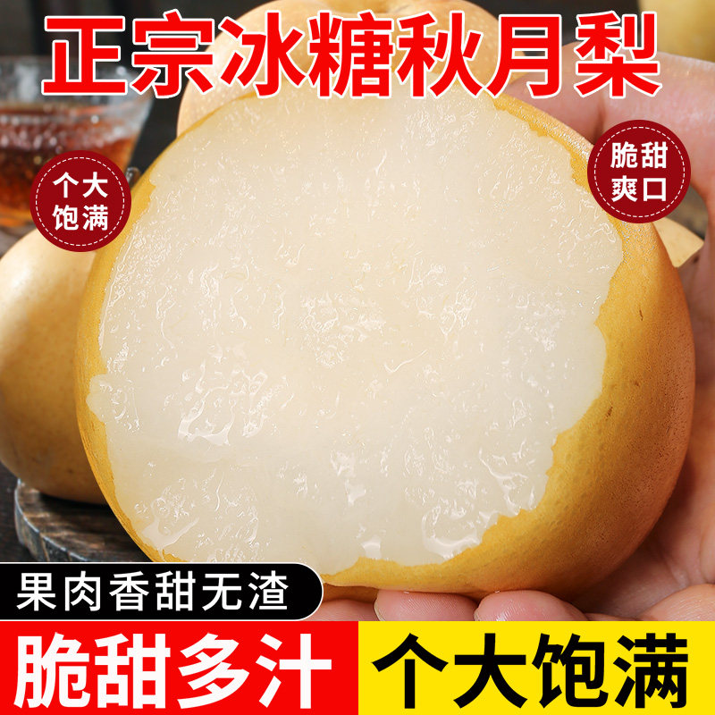 正宗山东莱阳秋月梨中秋新鲜现摘梨