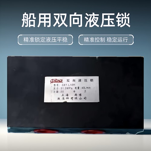 双向液压锁液压系统东珍船用
