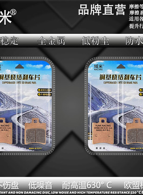 适用极核city play/fun/sport电摩电动车烧结高性能碟刹片刹车片