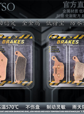 CTSO升仕X310 ZT310-X/R/V/T/VX幽灵ZT250-S/R前后碟刹皮刹车片