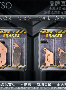 CTSO刹车片适用山叶雅马哈SMAX FORCE155劲战四代BWSR 前后碟刹皮