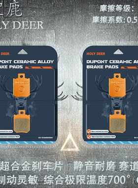 适用九号F2z110/90 Nz90 新Cz90 VzMIX跨骑xyber陶瓷性能碟刹片