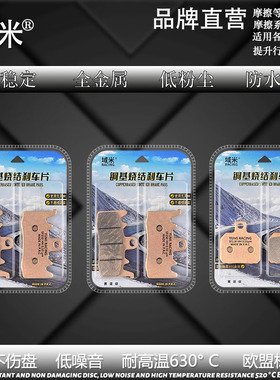 圣鹿杜邦超合金刹车片适配钱江骁SRT500 550 600 650 700 750 800