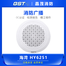 海湾安装 室内壁挂音箱功放喇叭 广播HY6251壁挂HY6253扬声器新款