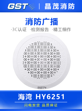 海湾安装广播HY6251壁挂HY6253扬声器新款室内壁挂音箱功放喇叭