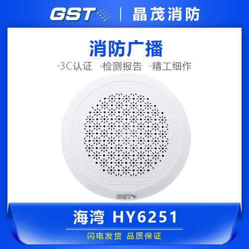 海湾安装广播HY6251壁挂HY6253扬声器新款室内壁挂音箱功放喇叭
