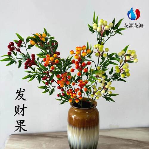客厅，餐桌发财红浆果