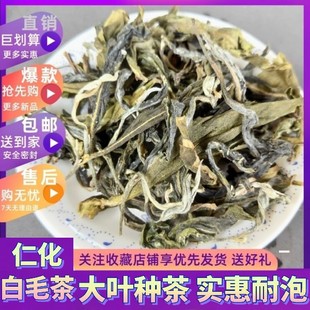 仁化白毛茶夏季老茶稍苦涩味浓耐泡绿茶红山茶叶毛峰茶散装茶包邮