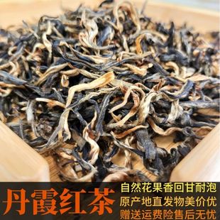 新茶丹霞红茶广东韶关茶叶仁化红山白毛茶红茶豪香蜜香养胃耐泡茶