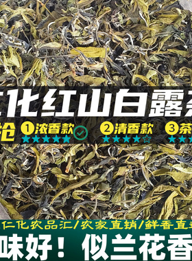 韶关白露茶兰花香秋茶热销爆款广东仁化白毛茶特级白露老茶绿茶