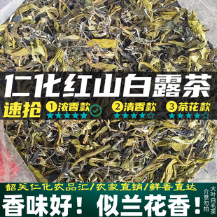 韶关白露茶兰花香秋茶热销爆款广东仁化白毛茶特级白露老茶绿茶