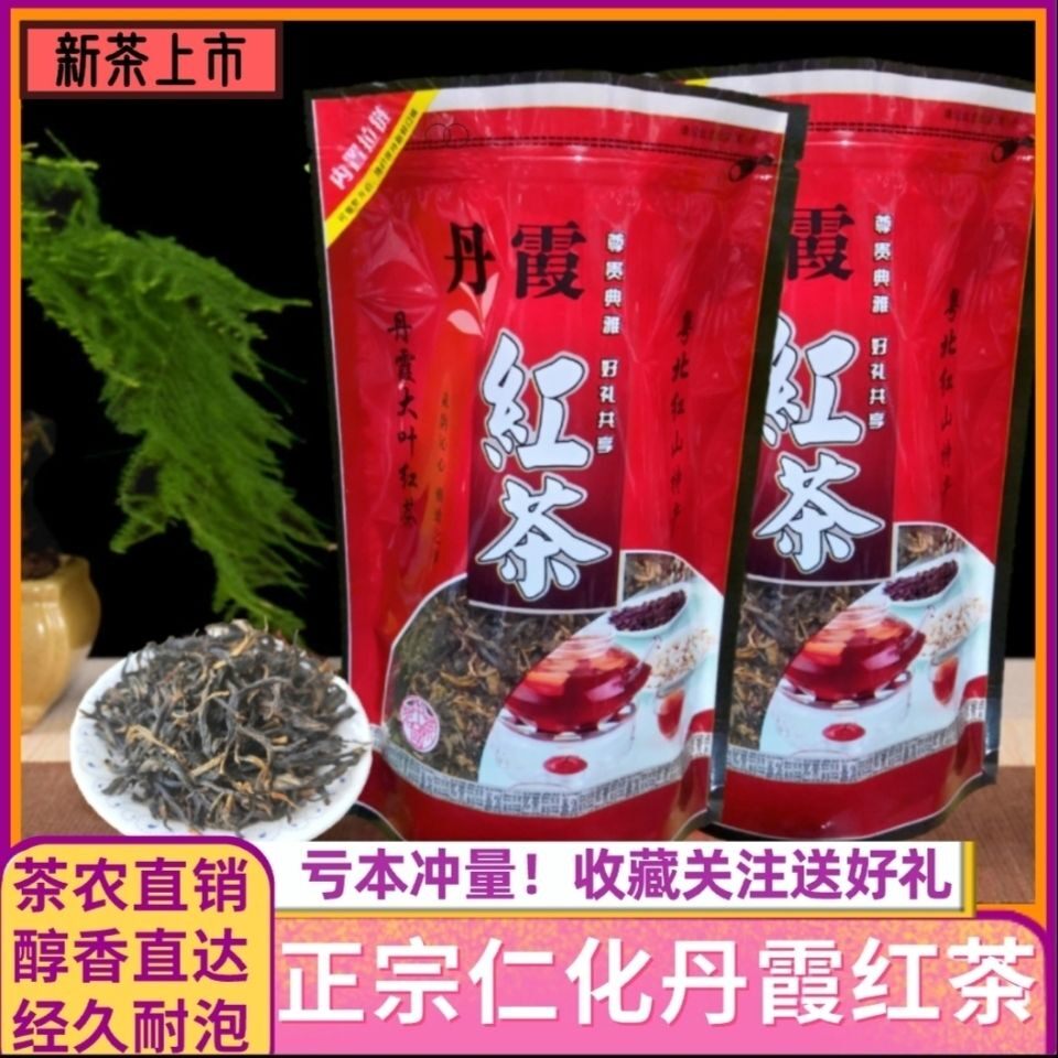 丹霞红茶养胃茶广东茶韶关特产仁化白毛茶红茶耐泡口粮茶500g包邮