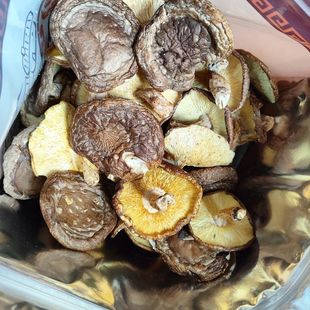 2025新菇韶关香菇500g特级新鲜蘑菇广东粤北花菇特产干货直发包邮