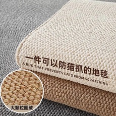 客厅地毯宠物耐刮防滑卧室地垫子