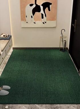 入户门垫家用大门口防滑脚垫