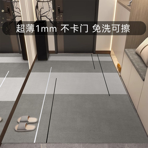 超薄1mm入户门地垫可擦洗地毯