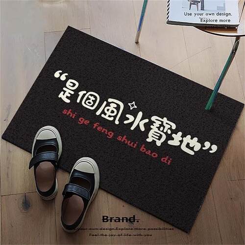 2026新款入户门丝圈地垫蹭灰除尘