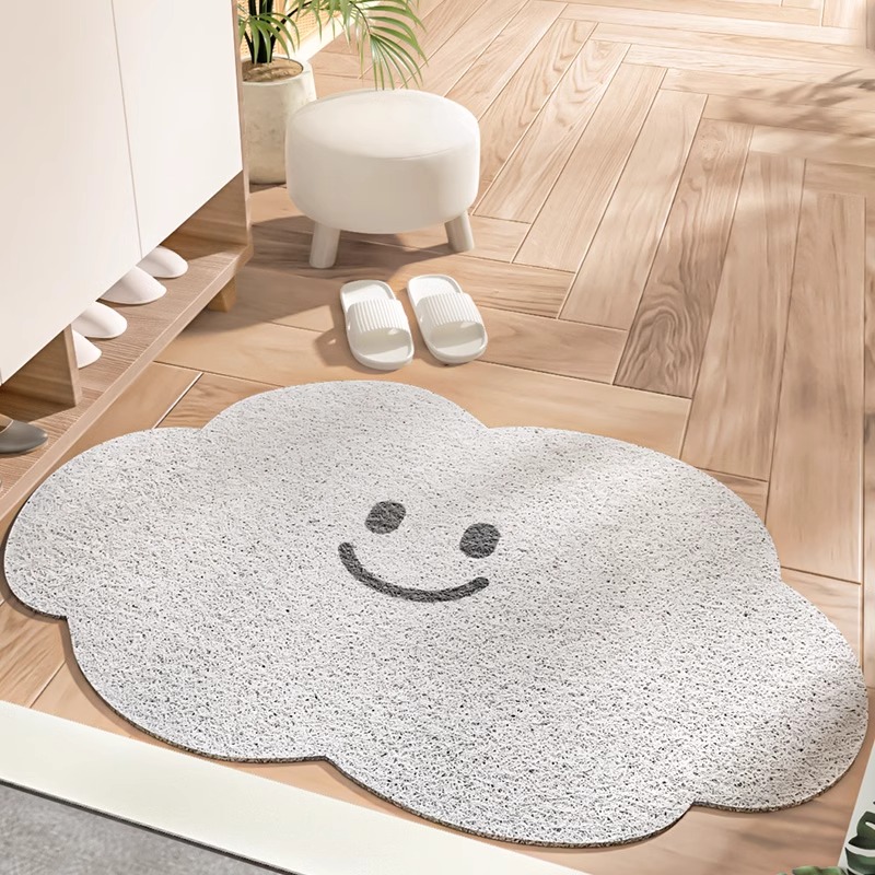 入户门地垫丝圈进门门垫家用脚垫