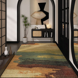 多巴胺入户门地垫抽象艺术进门口可定制地毯玄关可裁剪耐脏脚垫