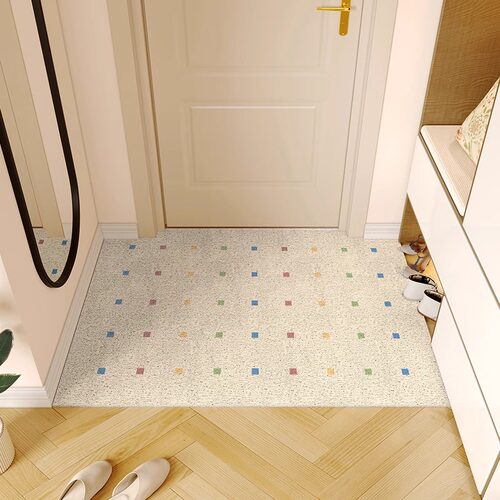 入户门地垫免打理可剪裁网红新款