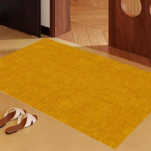 高级感黄色入户门地毯丝圈地垫家用耐磨可裁剪玄关蹭土防滑脚垫