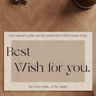 入户门地垫进门现代简约轻奢门口防滑耐磨玄关地毯家用丝圈脚垫子