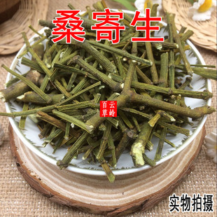云南野生中药材桑寄生 绿寄生深山野寄生寄生茶 包邮