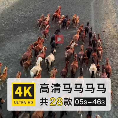 马白驹飞黄骥奔跑吃草哺乳动物高清4K延时实拍短视频剪辑制作素材