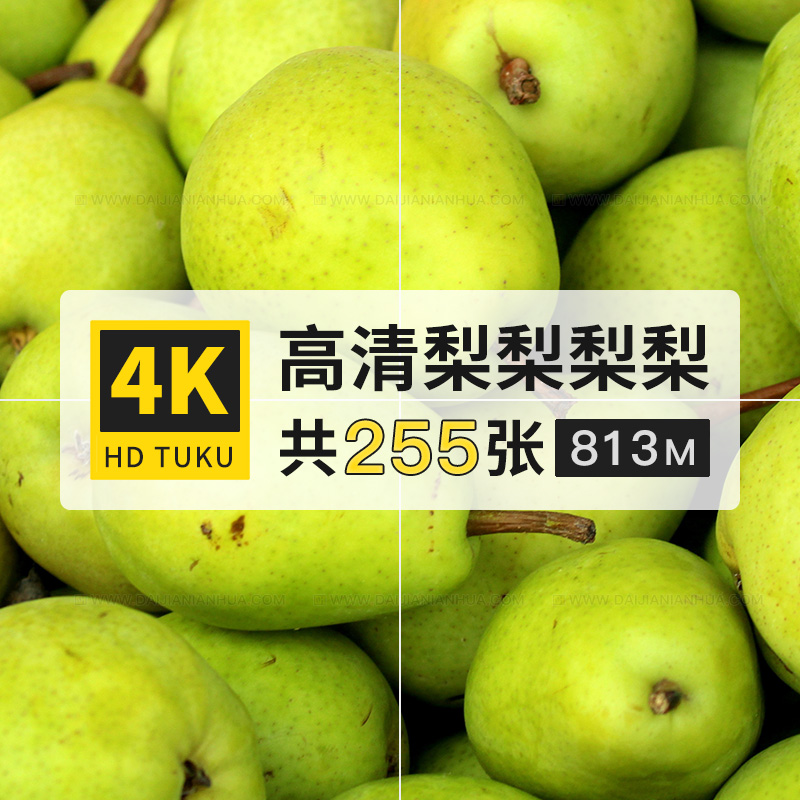 梨鸭梨温带水果大图超高清4K壁纸海报图片ps美术绘画插画打印素材
