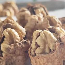 赫章核桃薄壳大果新货干核桃生核桃