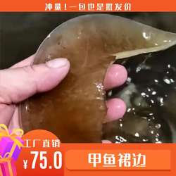 汉寿甲鱼裙边特产酒店底板肉王八团鱼鳖裙边肉一件包邮