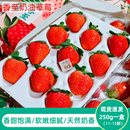 顺丰空运香至草莓新鲜水果丹东草莓奶油香野草莓新鲜有机草莓香甜