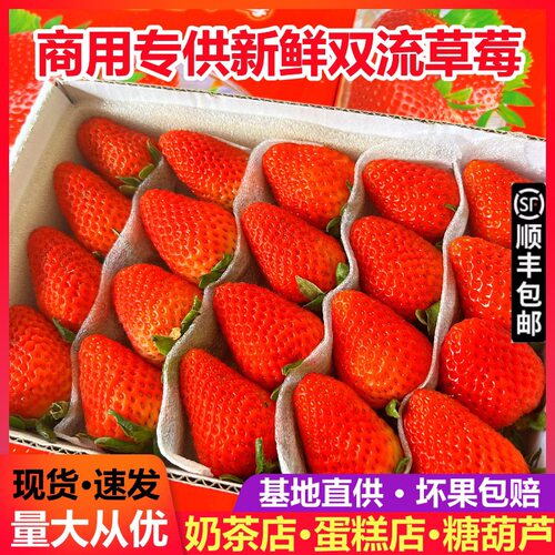 四季新鲜草莓商用水果同城配送