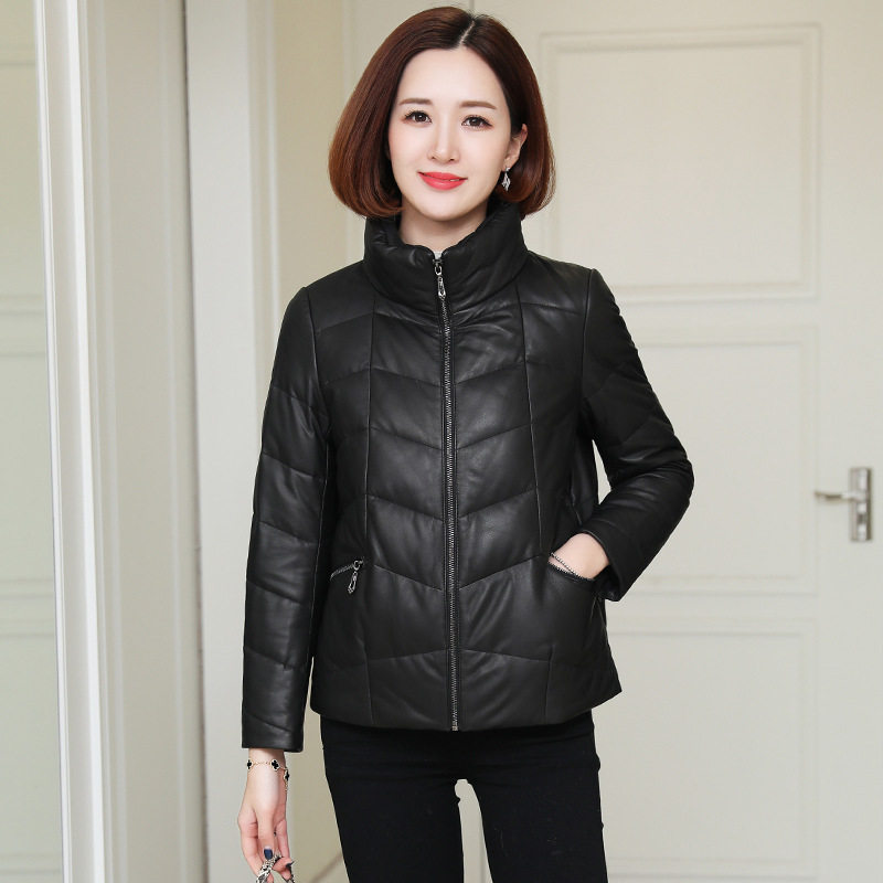 海宁真皮绵羊皮立领短款皮衣女