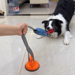 狗狗拔河玩具磨牙耐咬解闷神器发声互动拉扯逗狗棒边牧犬宠物用品