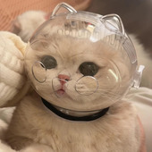 猫咪太空头罩防咬洗澡剪指甲打架防抓舔宠物神器猫头套伊丽莎白圈