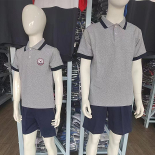 厦门市直属中小学校服纯棉短袖