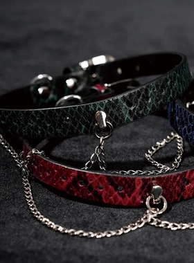 新款设计感k9镂空项圈彩色蛇纹颈链choker链条定制刻字女m