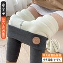 长裤 加工定制加绒加厚羊羔绒特厚打底裤 外穿高腰紧身裤 新款 女冬季