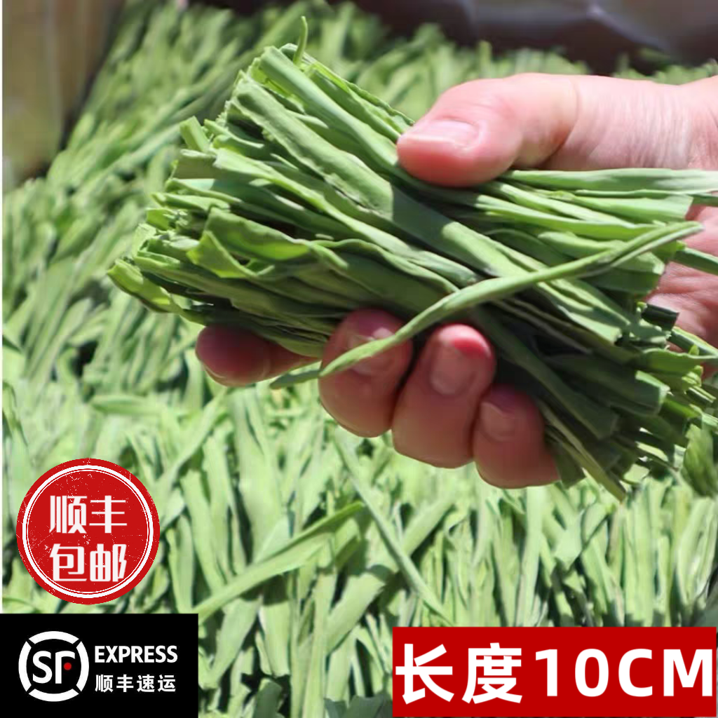 精品免切贡菜段10斤新鲜苔干响菜脱水蔬菜火锅专商用