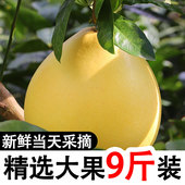 当季 现摘农家新鲜水果红心蜜柚老树新果红肉整箱酸甜红心柚子9斤