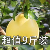 红心柚子水分足新鲜水果现摘先发高品质汁水充足 包邮 到家老树新果