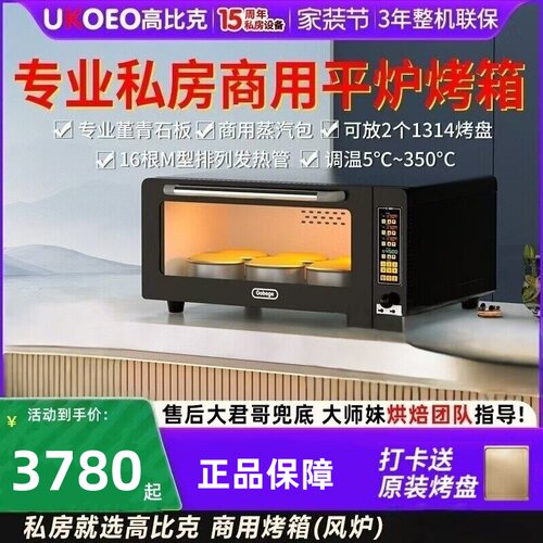高比克E9商用蒸汽包0温差350度