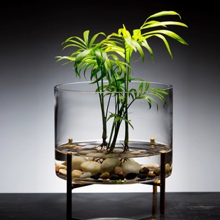 水培植物玻璃花瓶圓形玻璃魚(yú)缸富貴竹綠蘿簡(jiǎn)約水培花盆創(chuàng)意魚(yú)缸